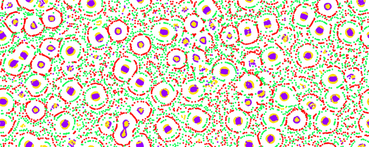 Particle Life in Physion